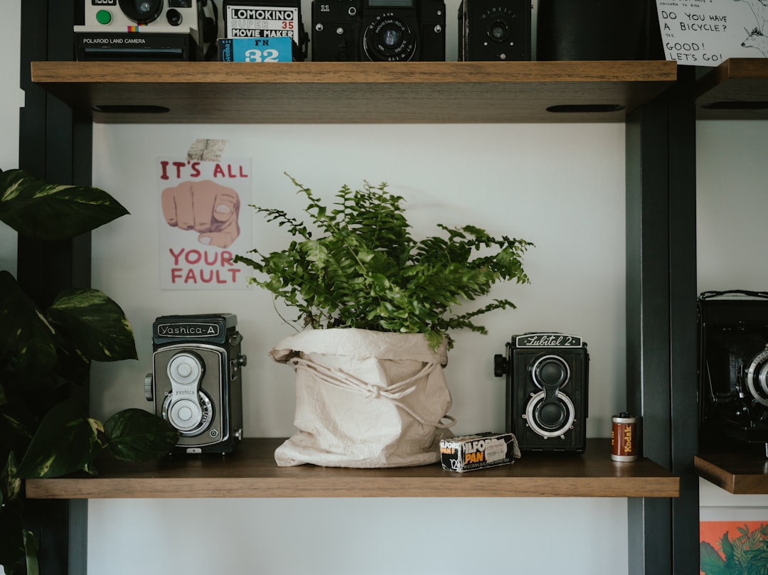 The Art of Decorating: Transform Your Space with Unique Home Decor Products The Art of Decorating: Transform Your Space with Unique Home Decor Products