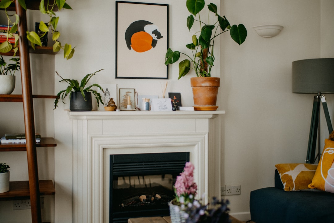 Luxury vs. Affordable: Making Smart Choices for Your Home Decor Luxury vs. Affordable: Making Smart Choices for Your Home Decor